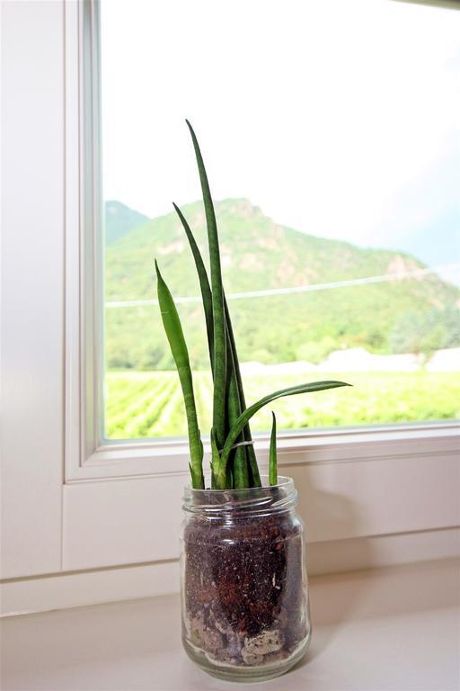 Double Room Garden View
